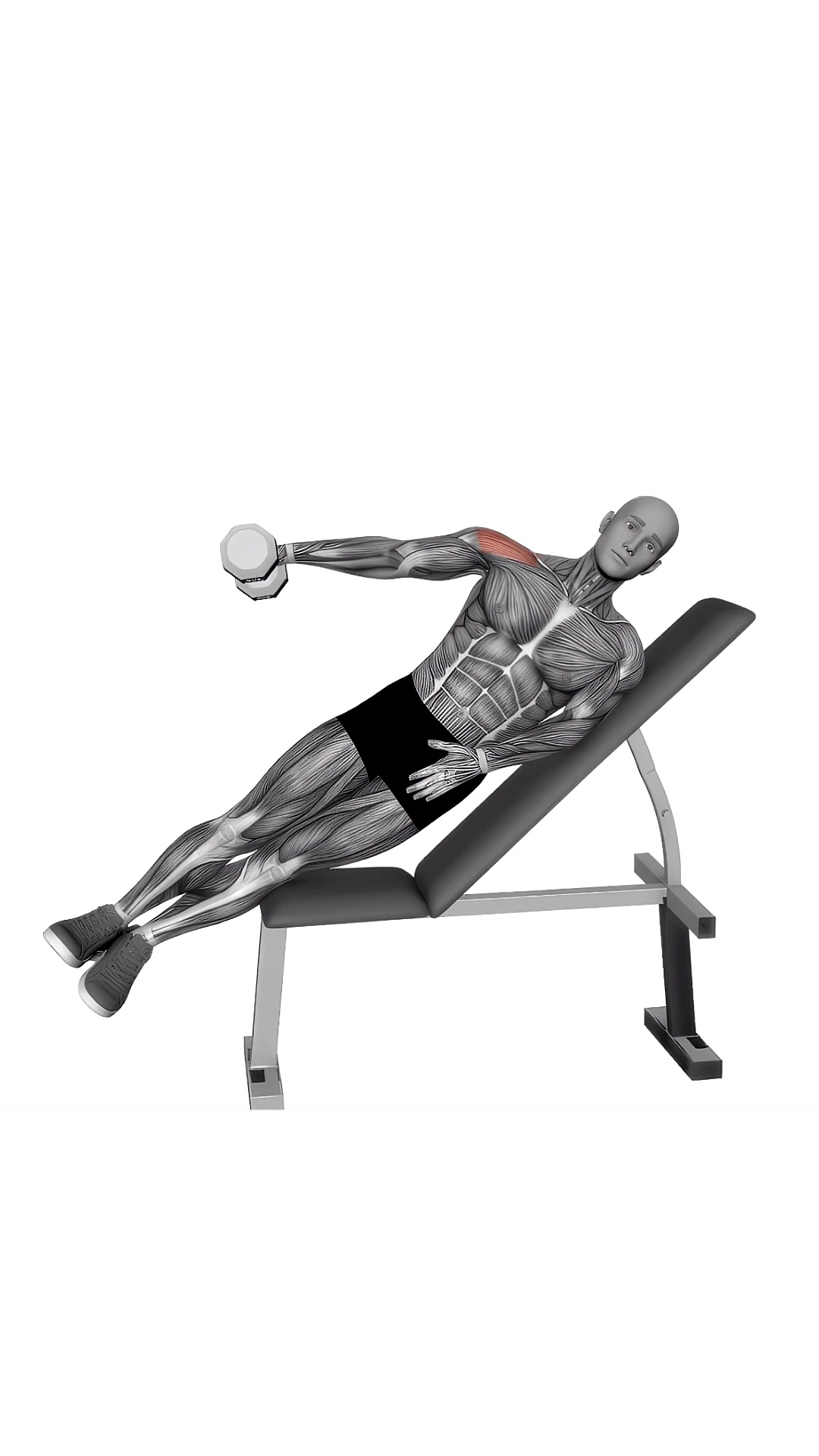 Dumbbell Incline One Arm Lateral Raise