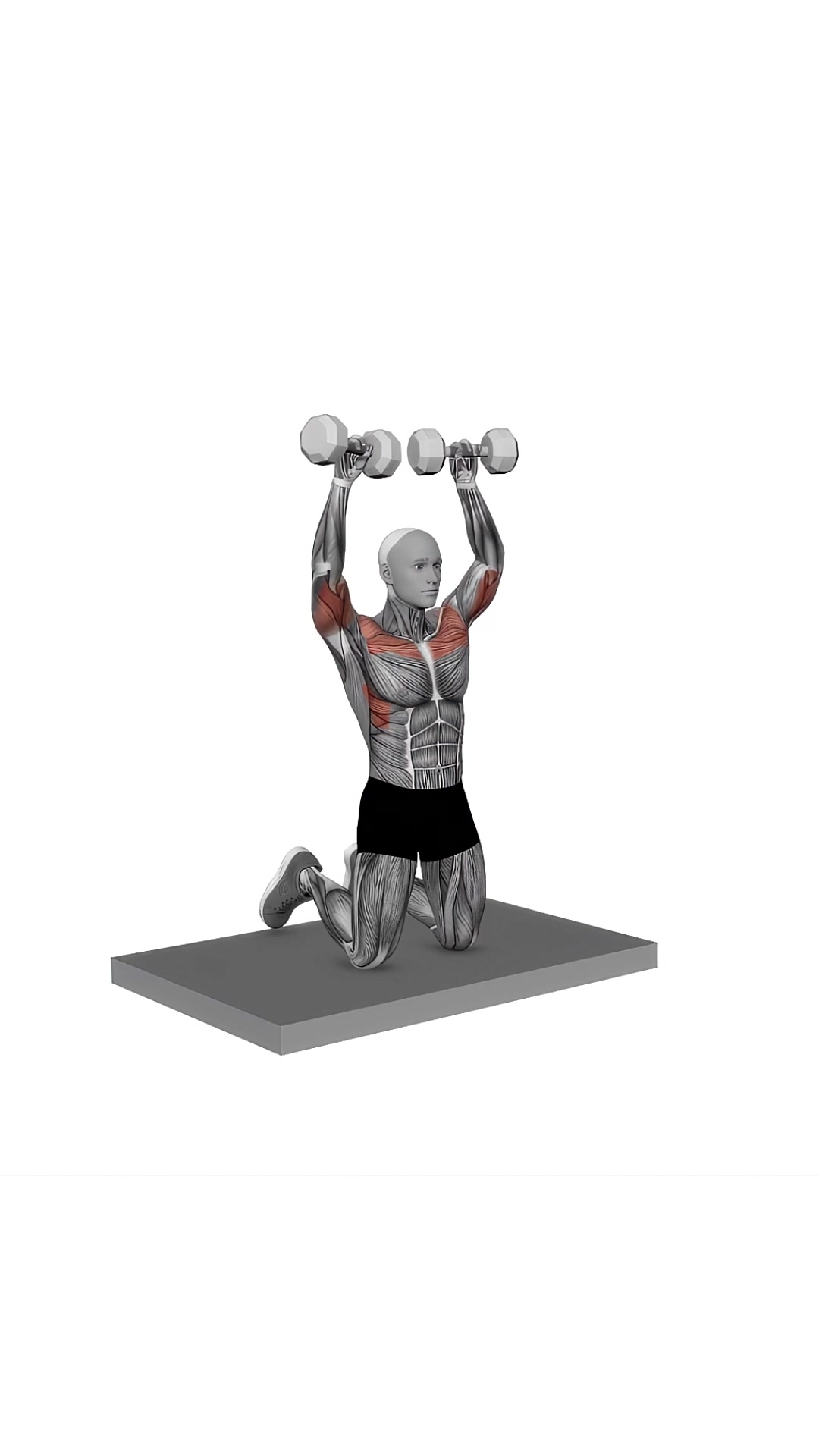 Dumbbell Kneeling Arnold Press