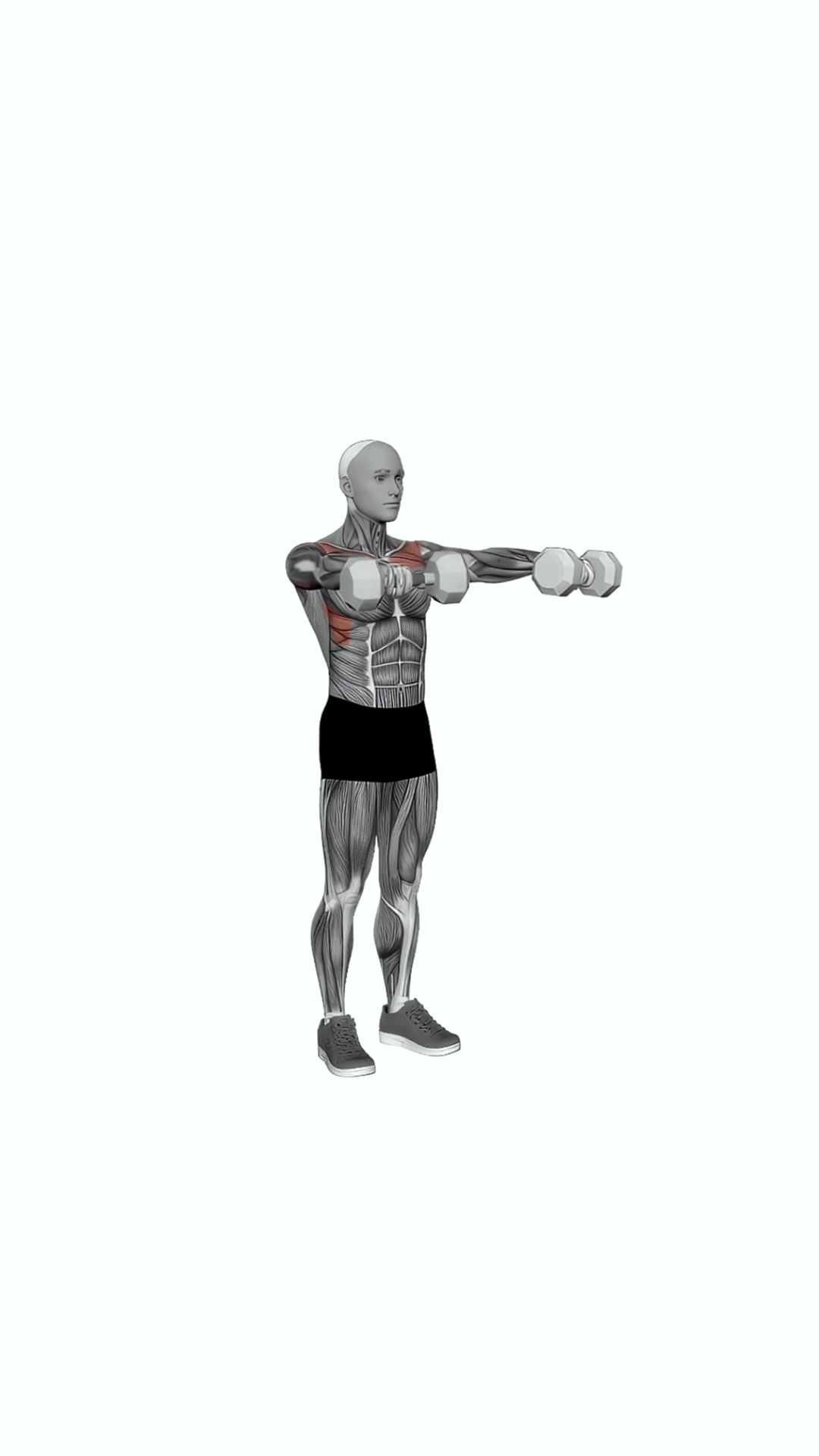 Dumbbell Lateral To Front Raise