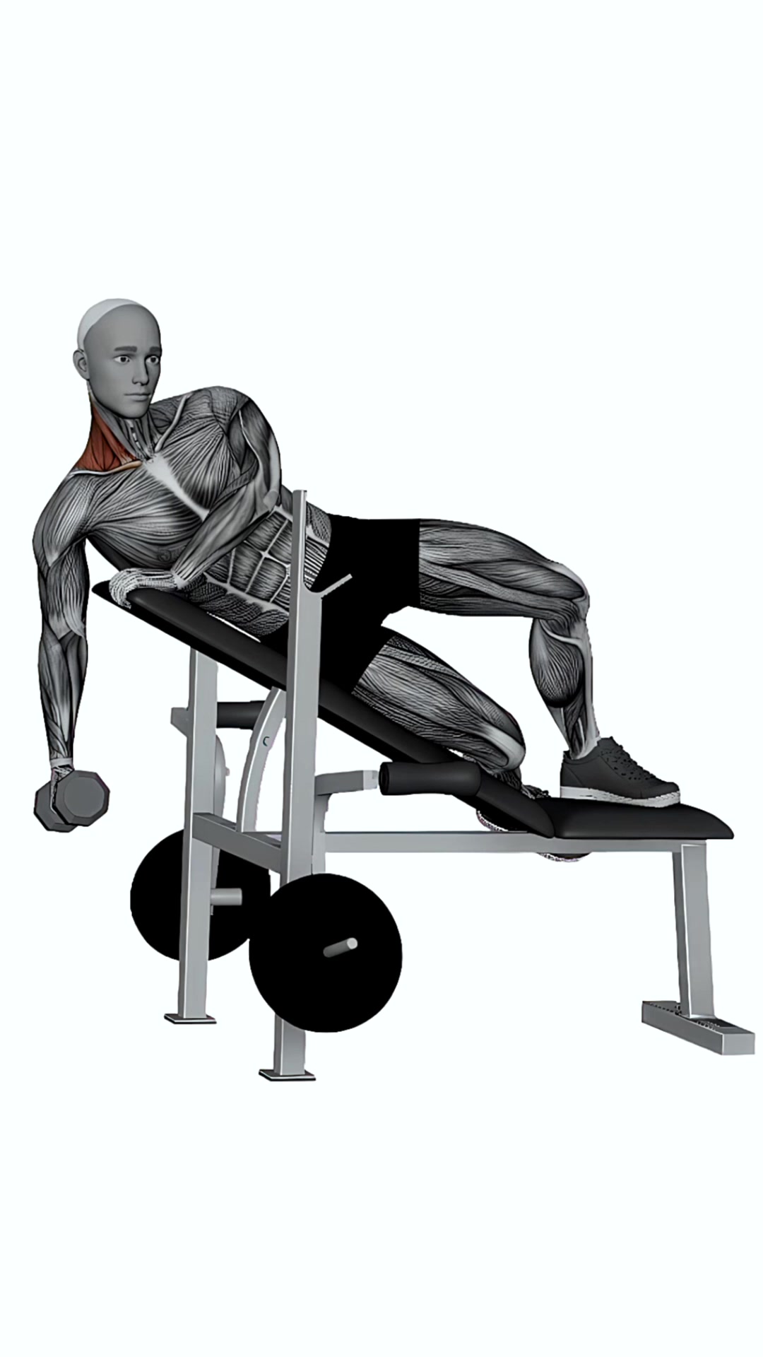 Dumbbell Laying 30 Degree Shrug