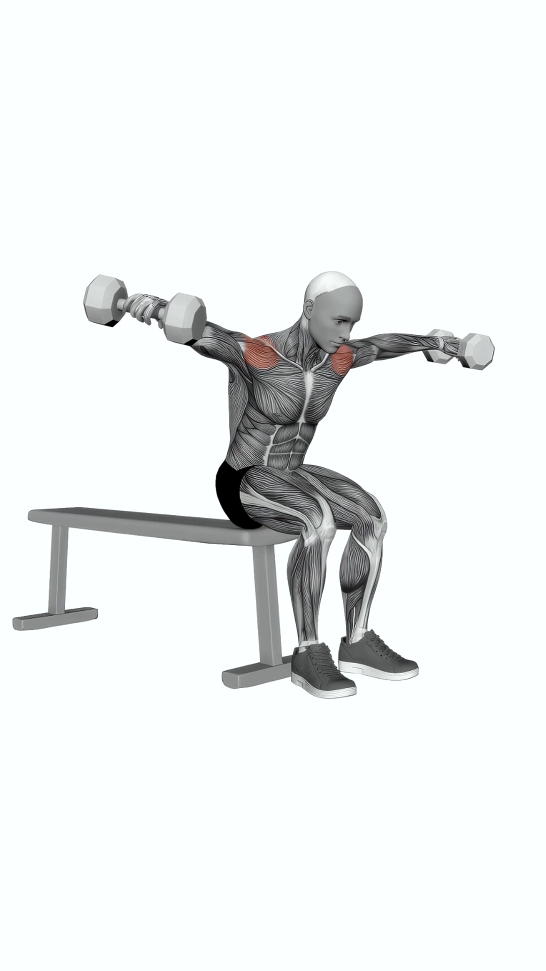 Dumbbell Leaning Fly