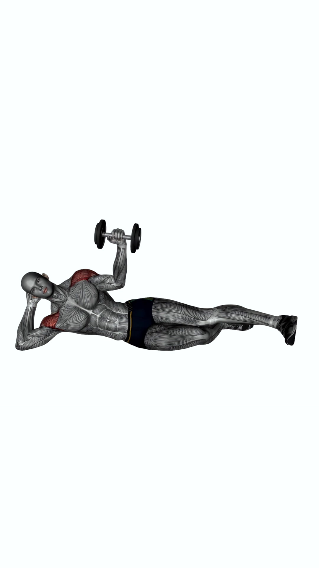 Dumbbell Lying External Shoulder Rotation