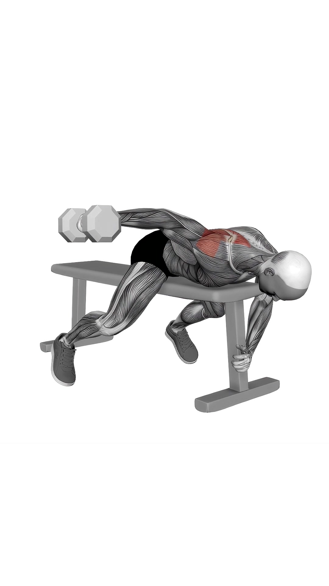 Dumbbell Lying One Arm Rear Lateral Raise