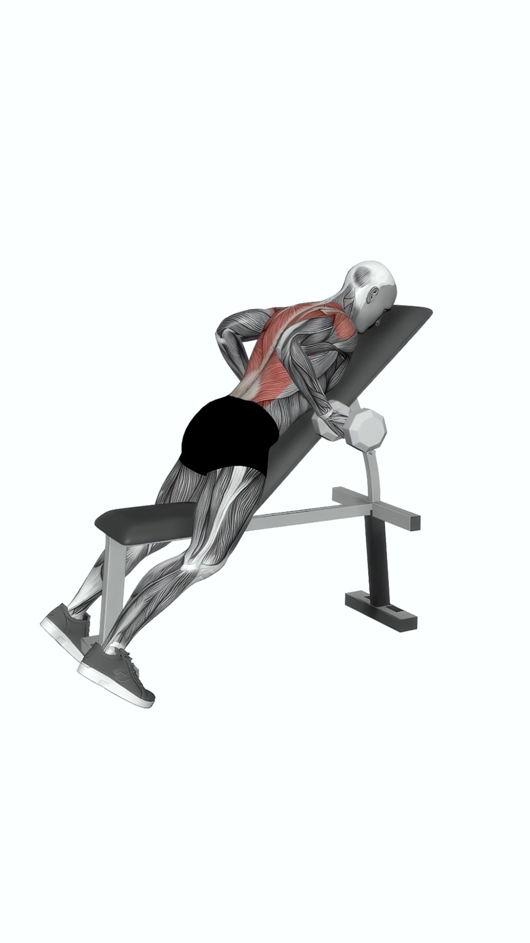 Dumbbell Lying Rear Delt Row