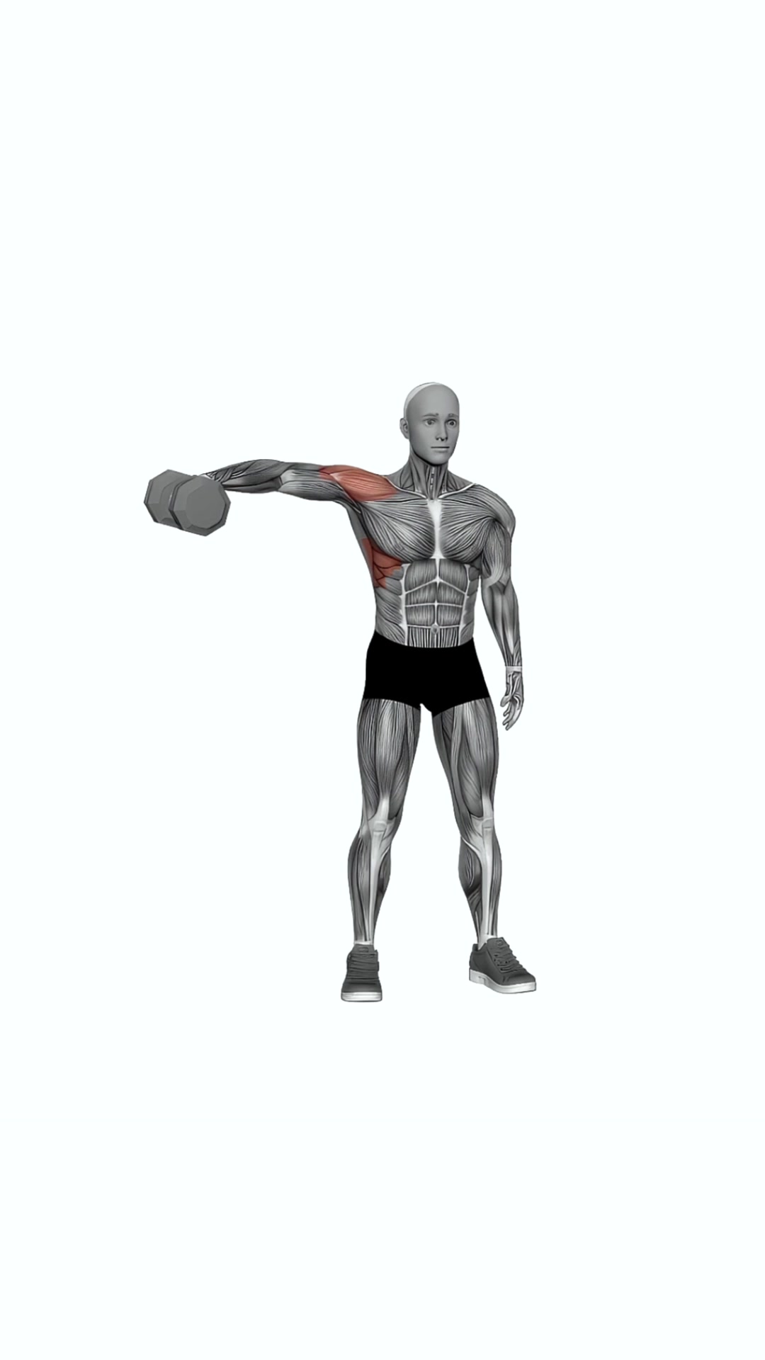 Dumbbell One Arm Lateral Raise