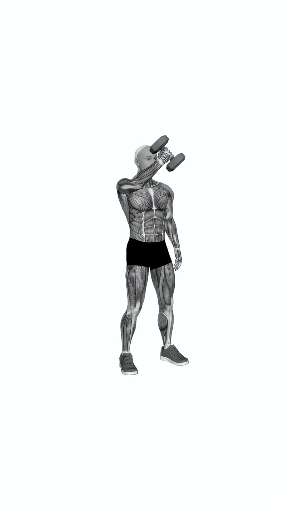 Dumbbell One Arm Low Fly