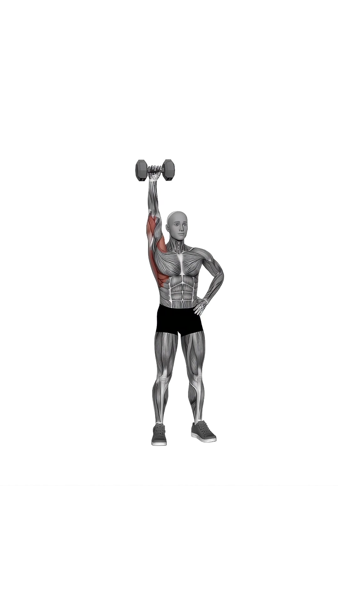 Dumbbell One Arm Shoulder Press (version 2)