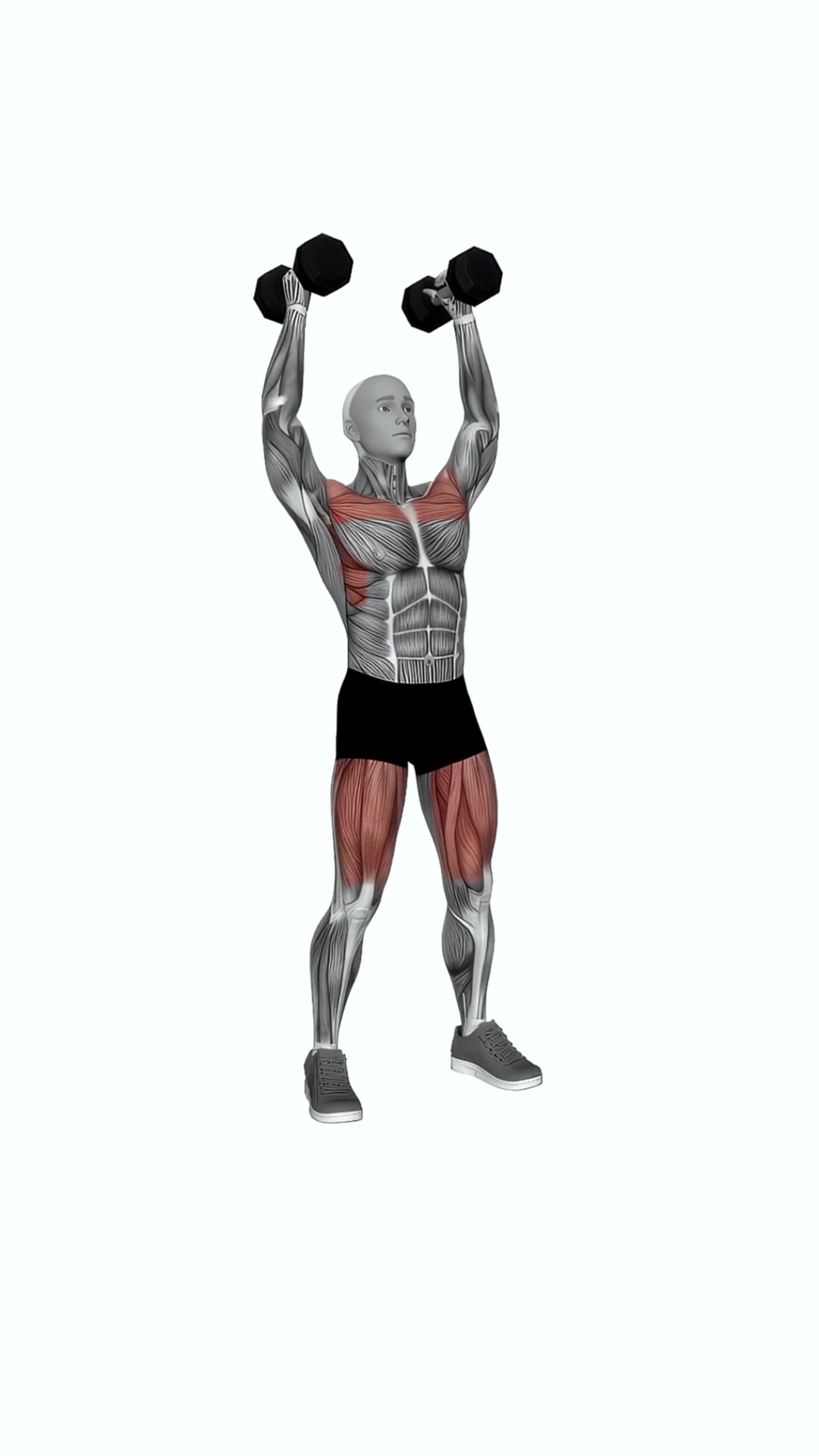 Dumbbell Push Press