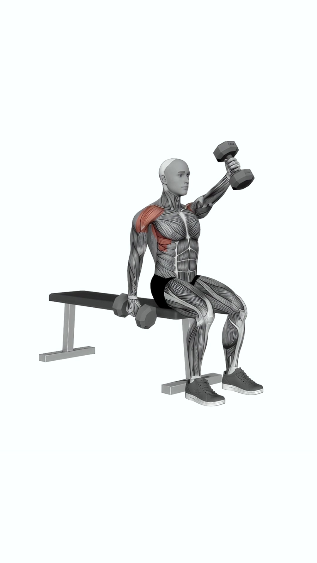 Dumbbell Seated Alternate Front Raise