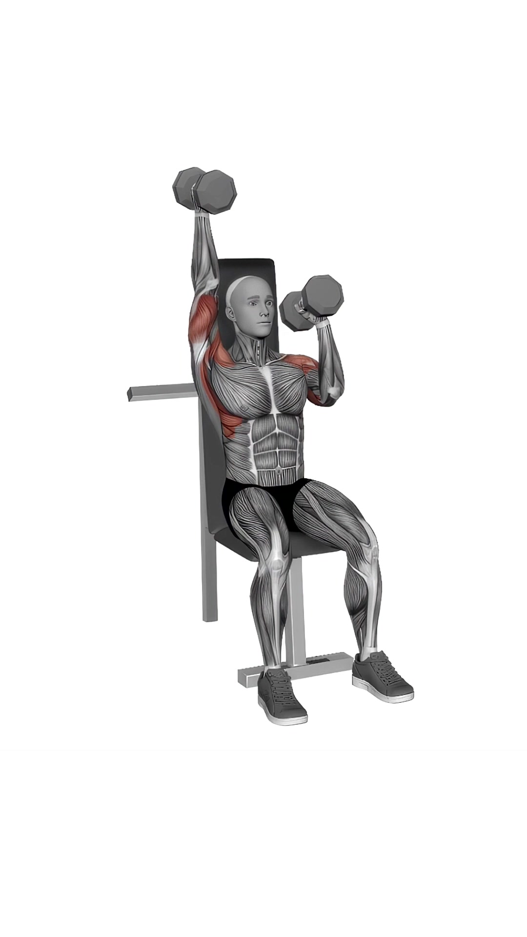 Dumbbell Seated Alternate Press