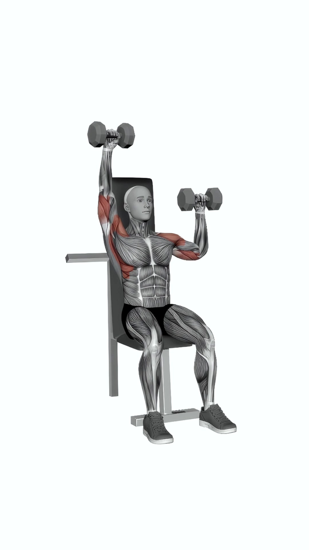 Dumbbell Seated Alternate Shoulder Press