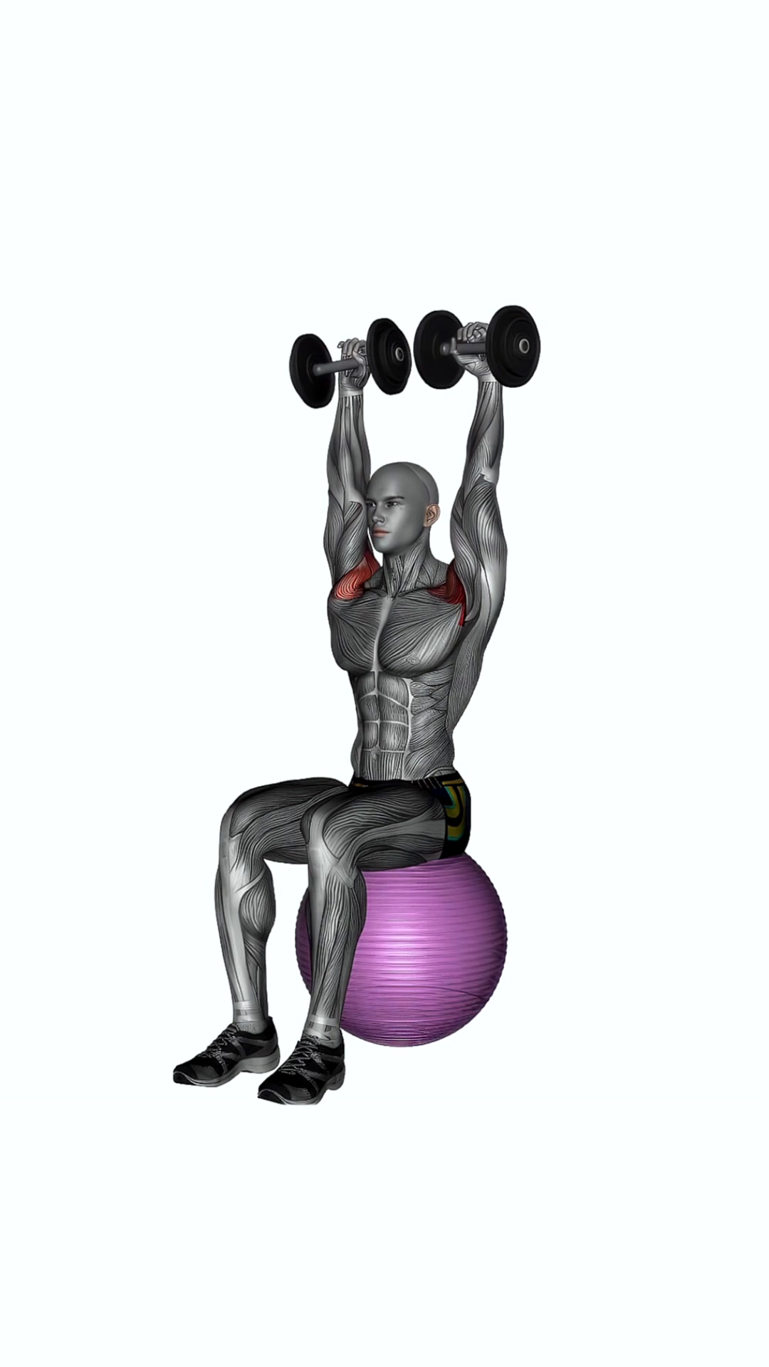Dumbbell Seated On Exercise Ball Shoulder Press