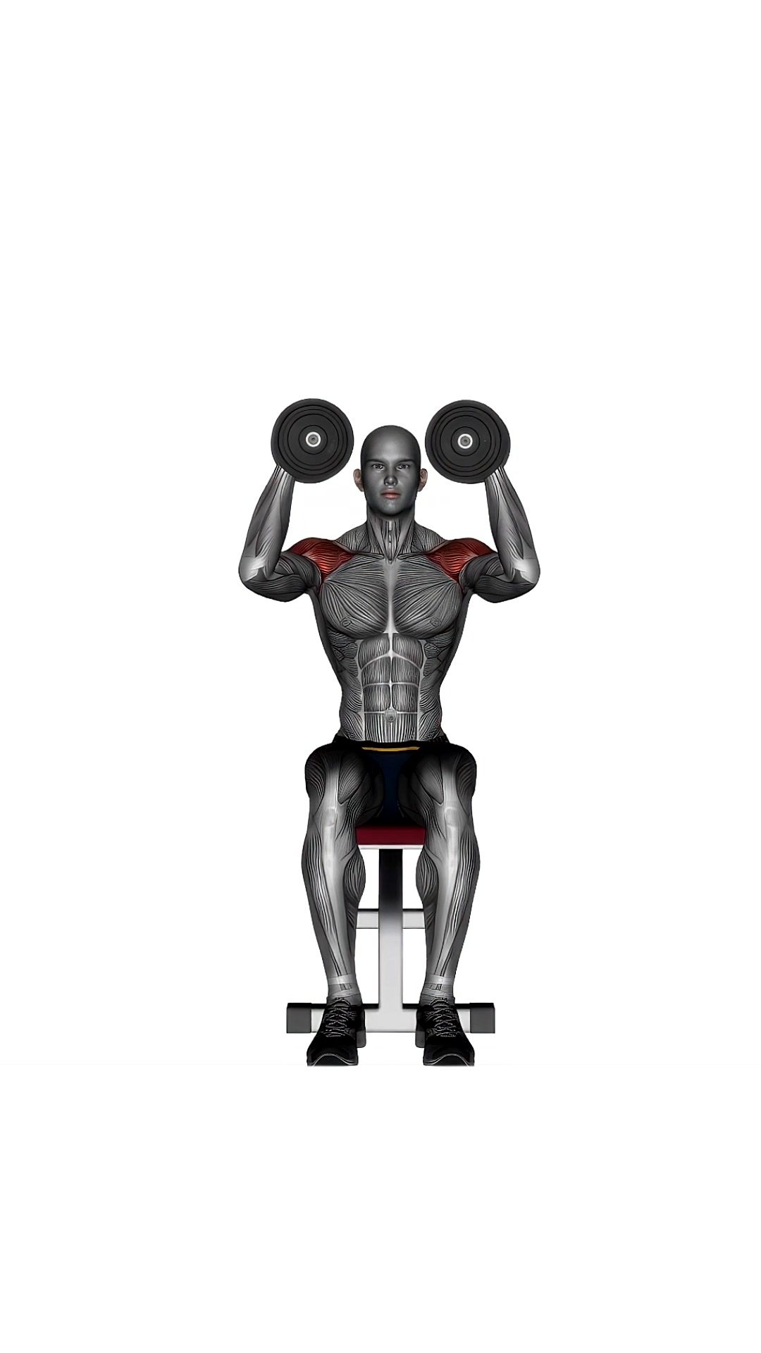 Dumbbell Seated Shoulder Press Parallel Grip