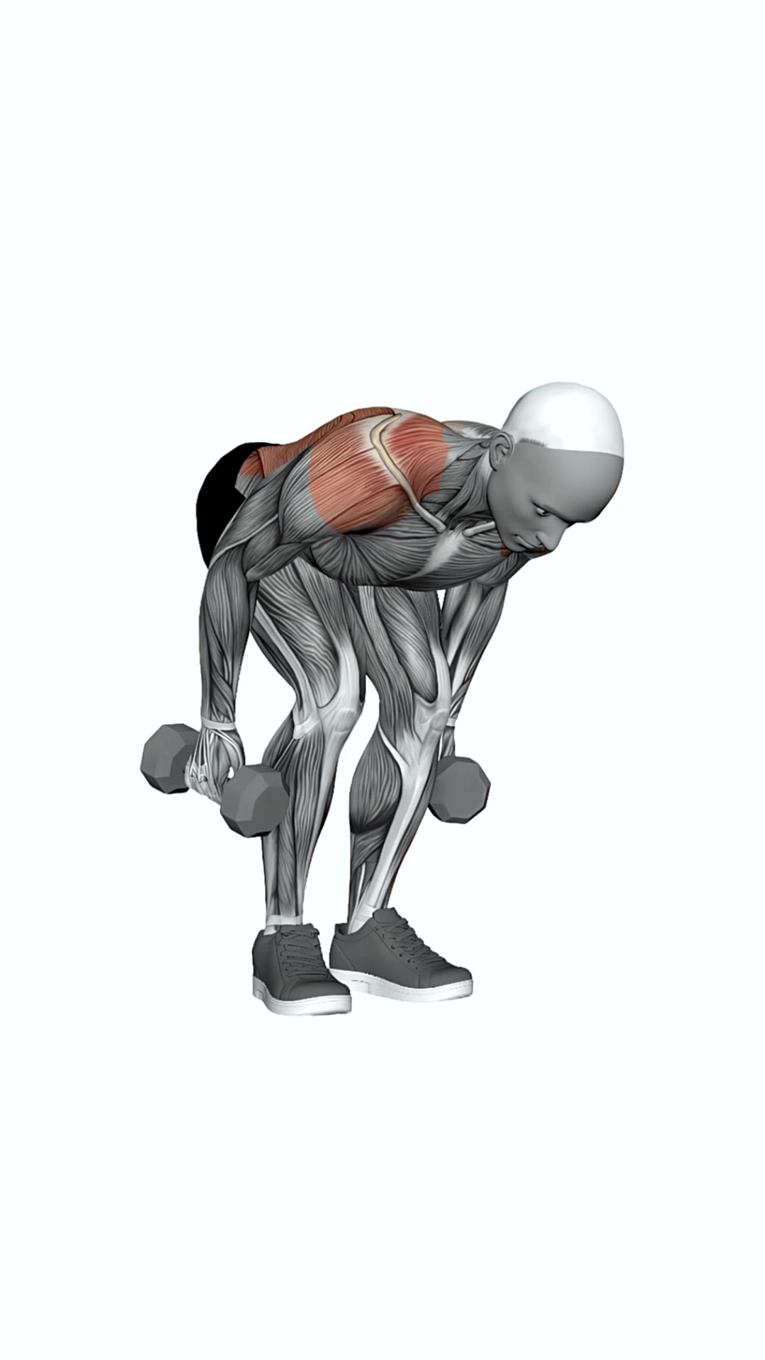 Dumbbell Shoulder Extension