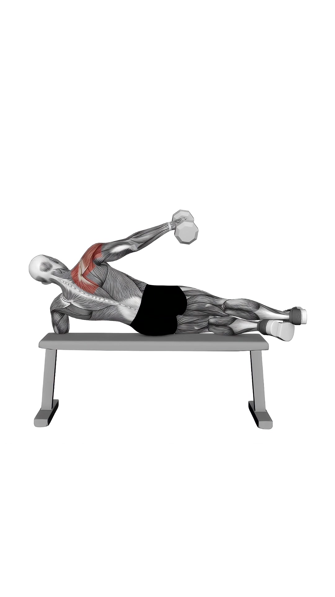 Dumbbell Side Lying One Hand Raise