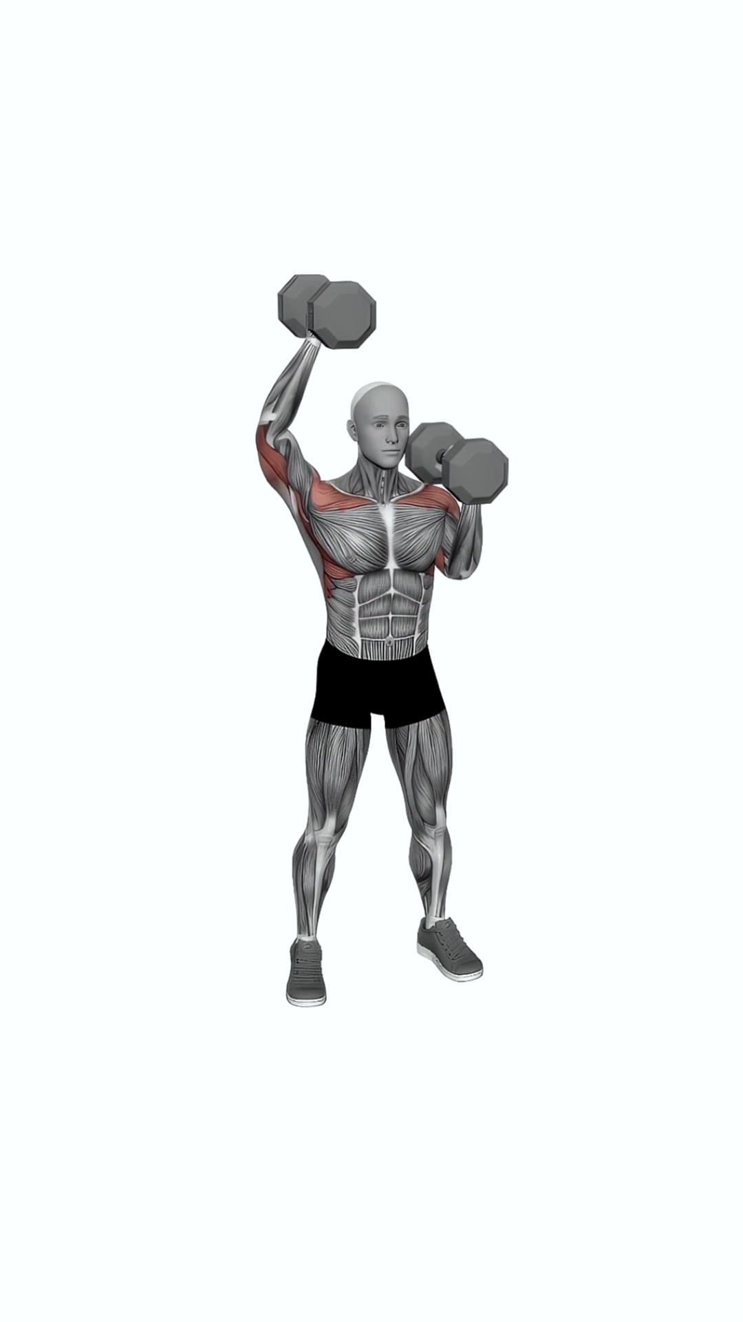 Dumbbell Standing Alternate Overhead Press