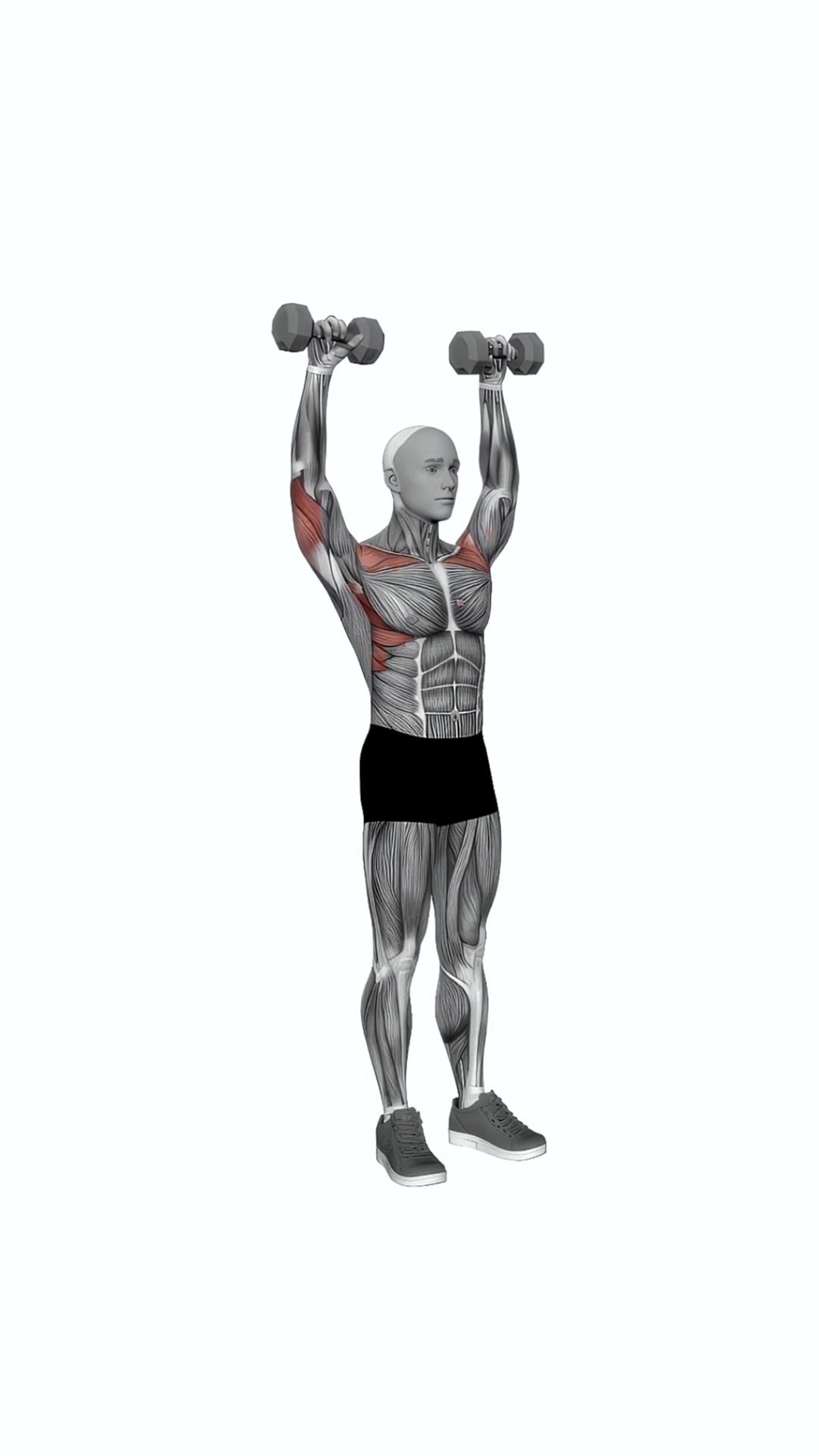 Dumbbell Standing Behind Back Shoulders Press