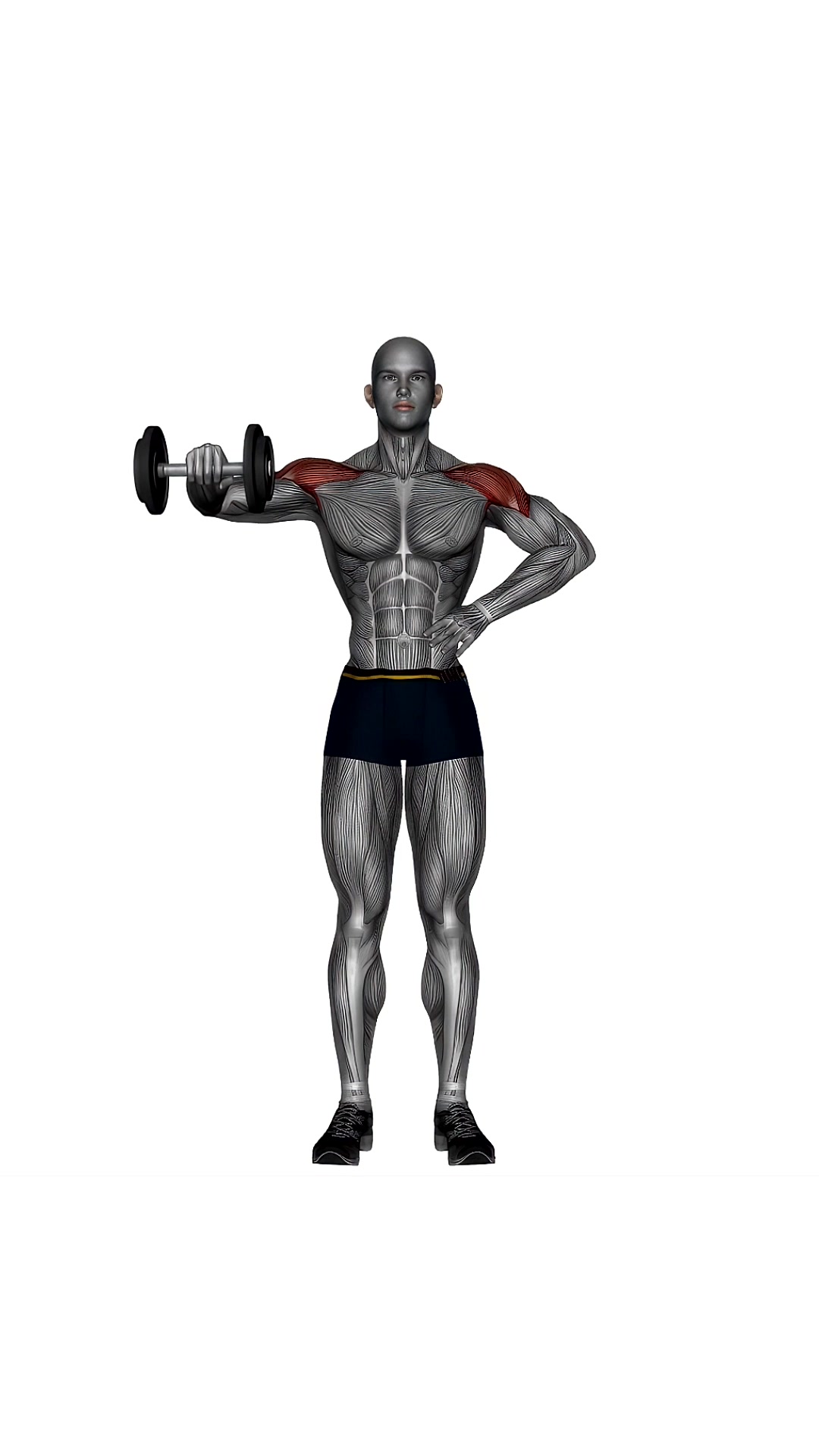Dumbbell Upright Shoulder External Rotatio