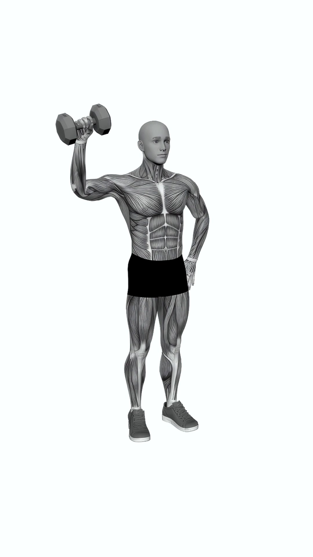 Dumbbell Upright Shoulder External Rotation