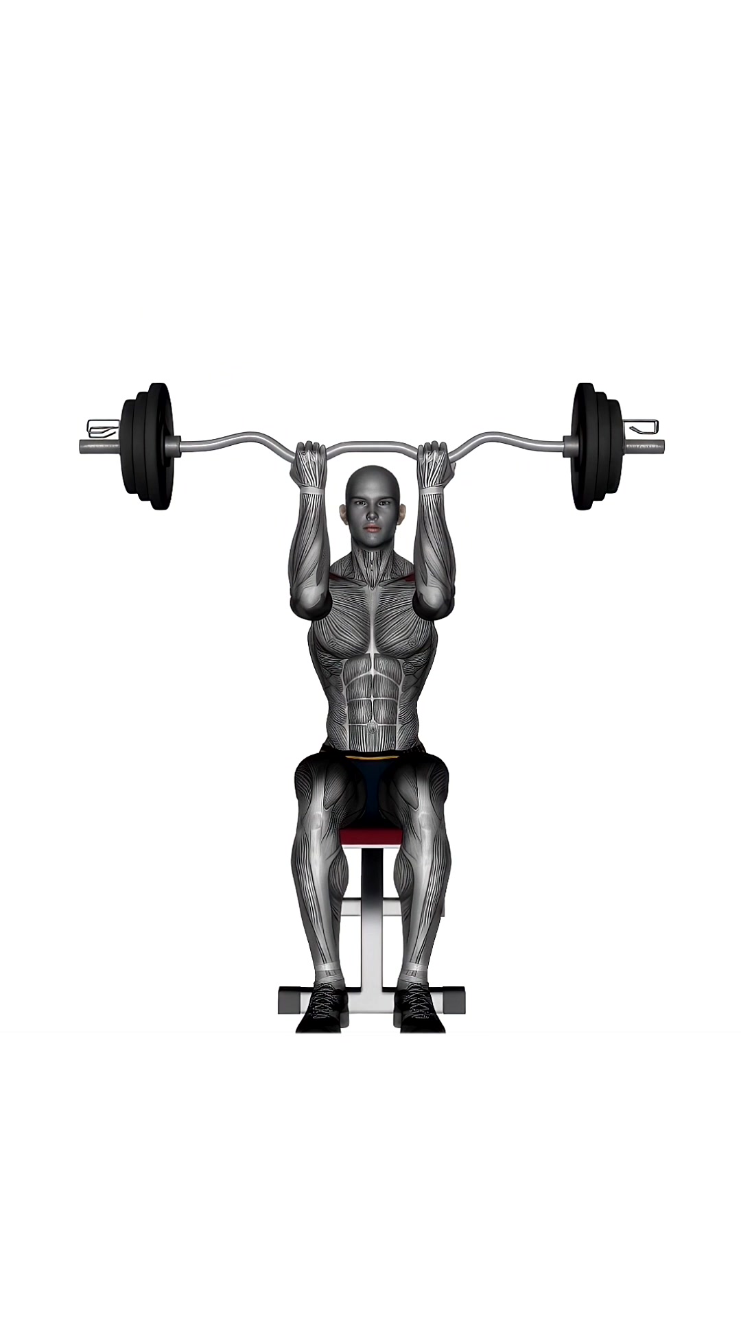 Ez Bar Seated Close Grip Shoulder Press
