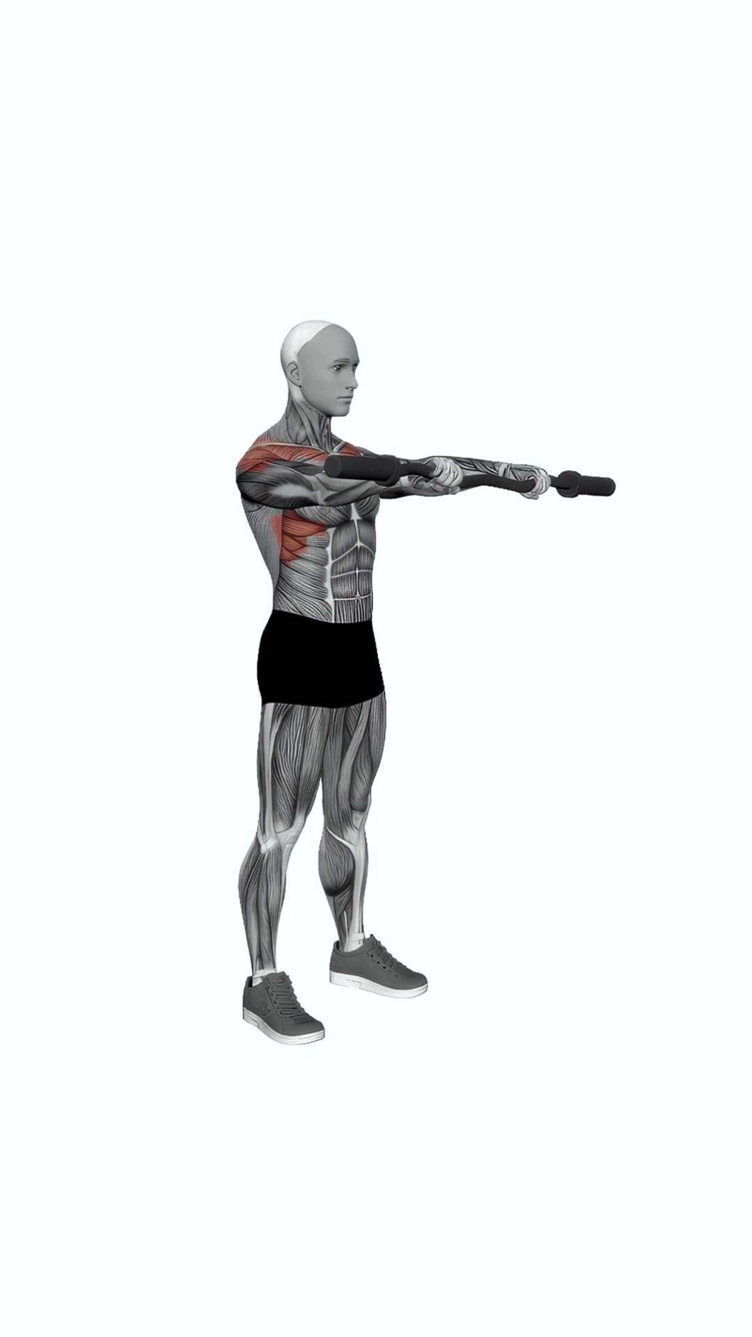 Ez Bar Standing Front Raise