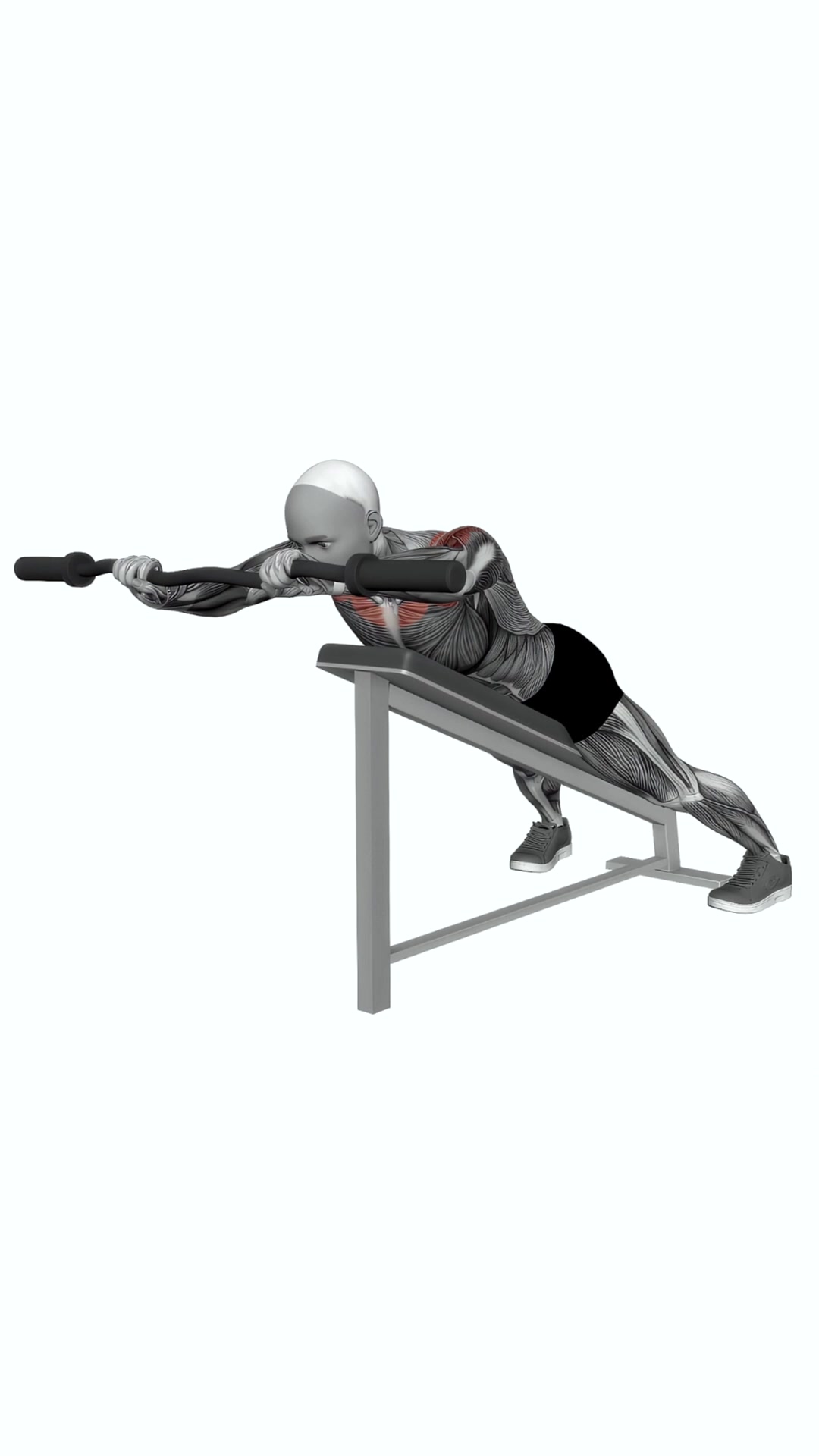 Ez Barbell Anti Gravity Press