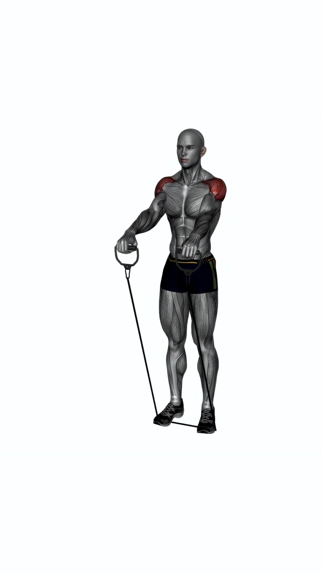 Front Raise Resistance Bands