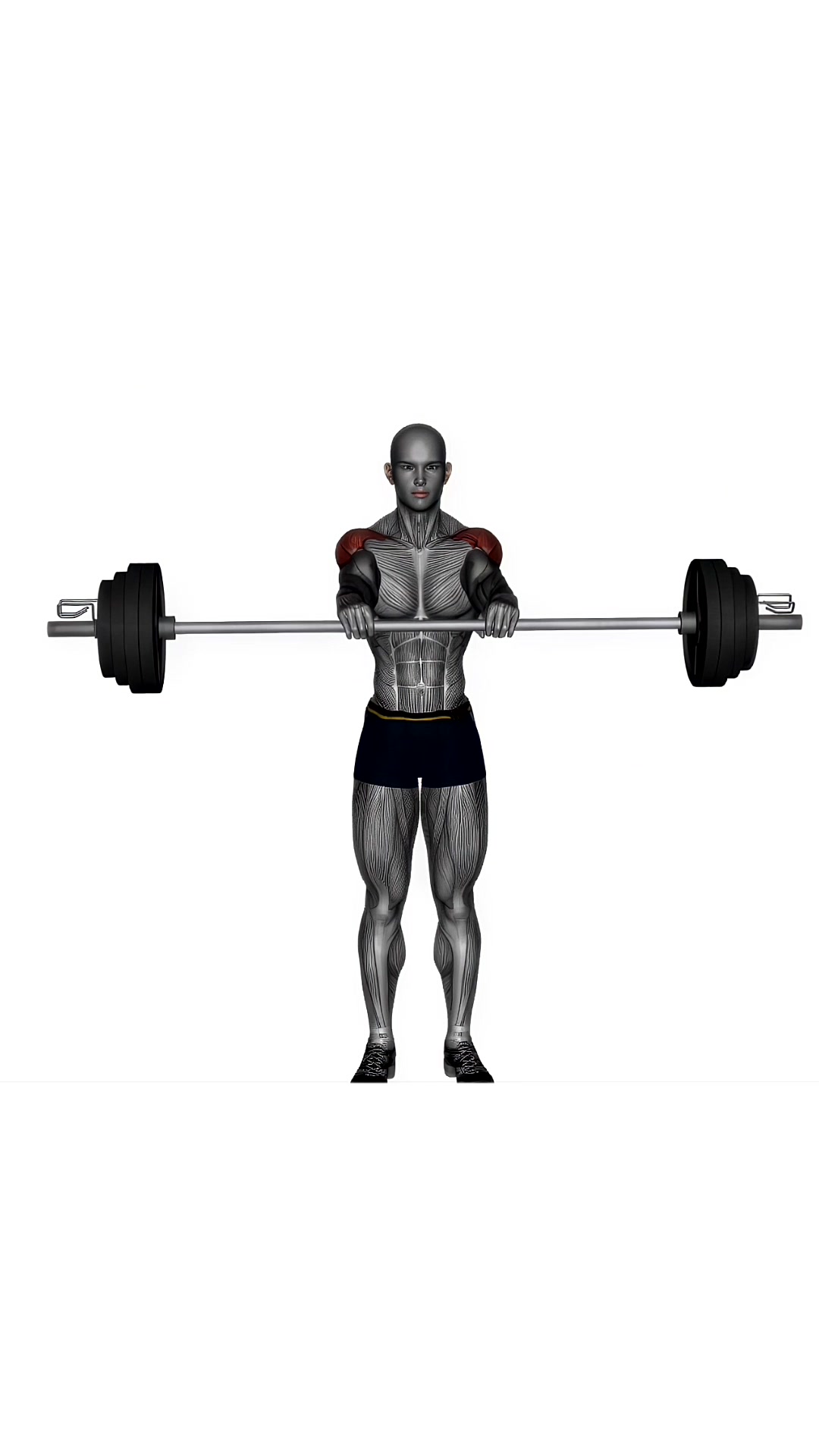 Front Raises Barbell