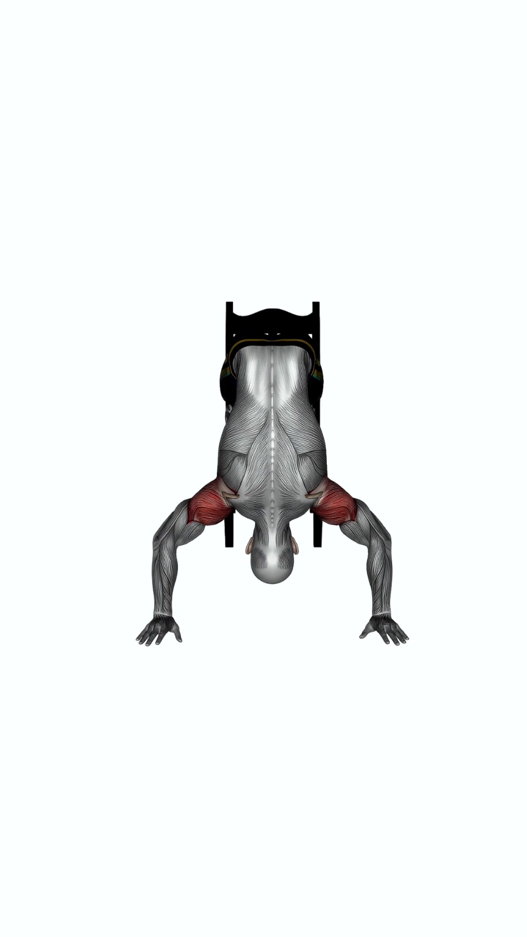 Handstand Push On Chair
