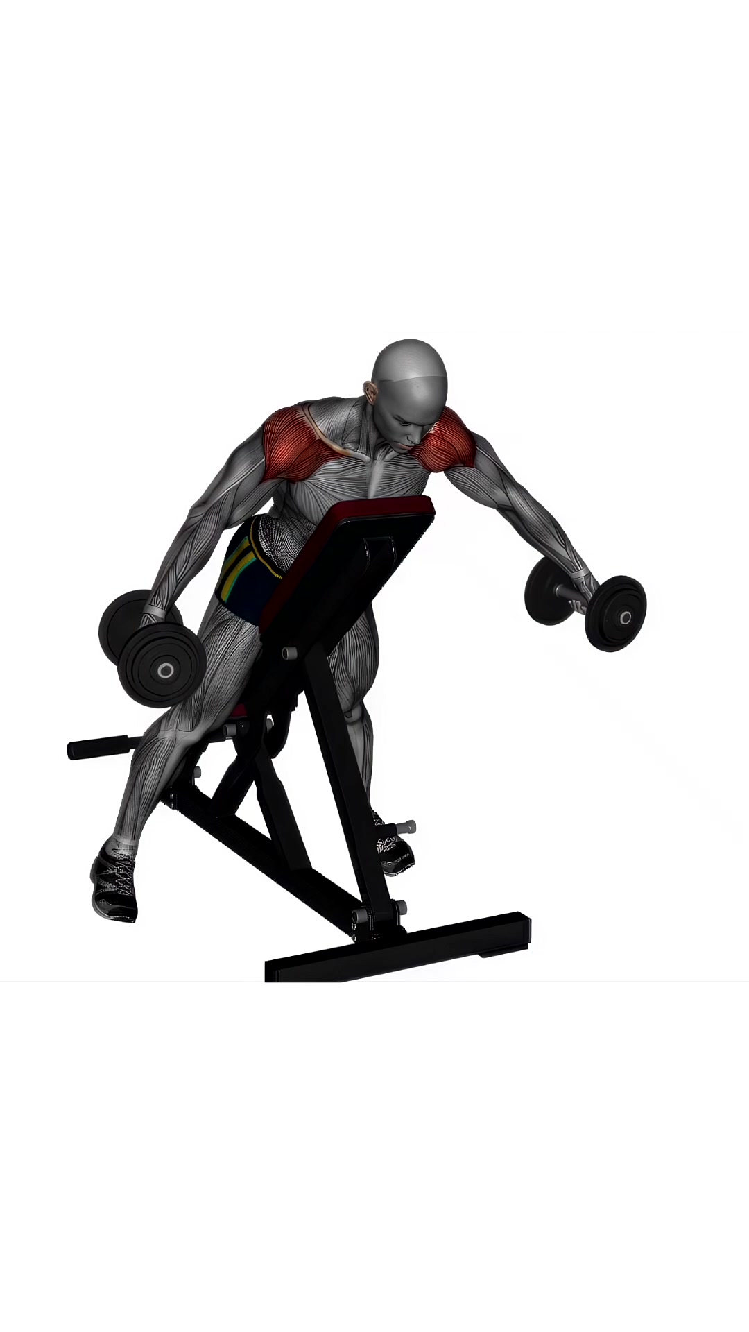 Incline Lateral Raises Dumbbell
