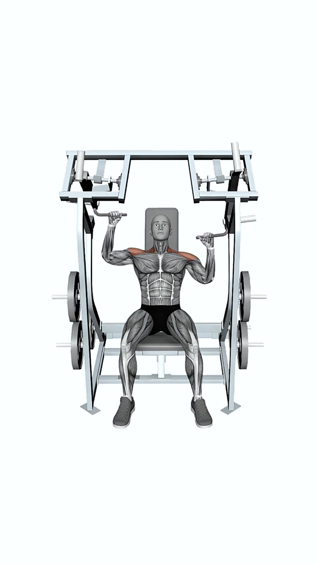 Iso Lateral Shoulder Press Alternate Arms