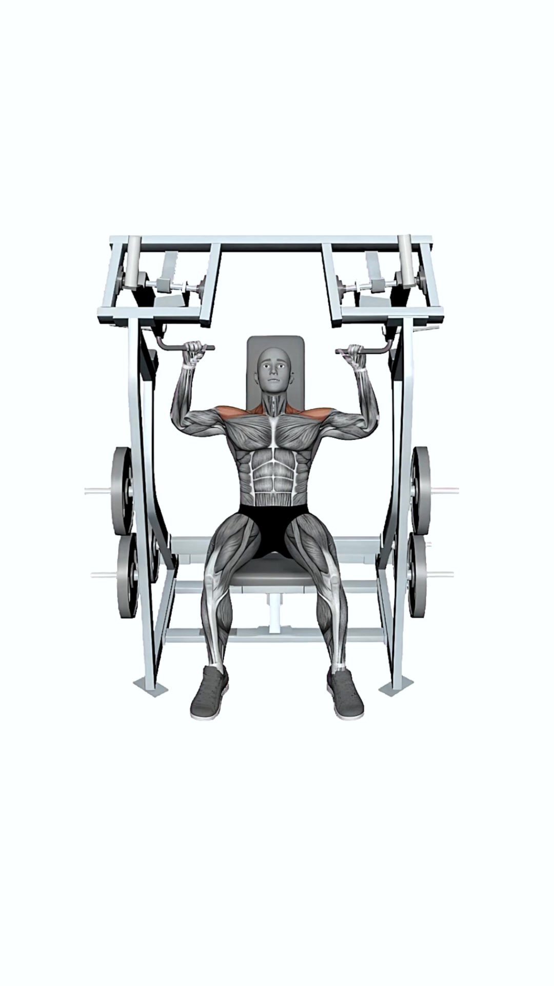 Iso Lateral Shoulder Press Both Arms