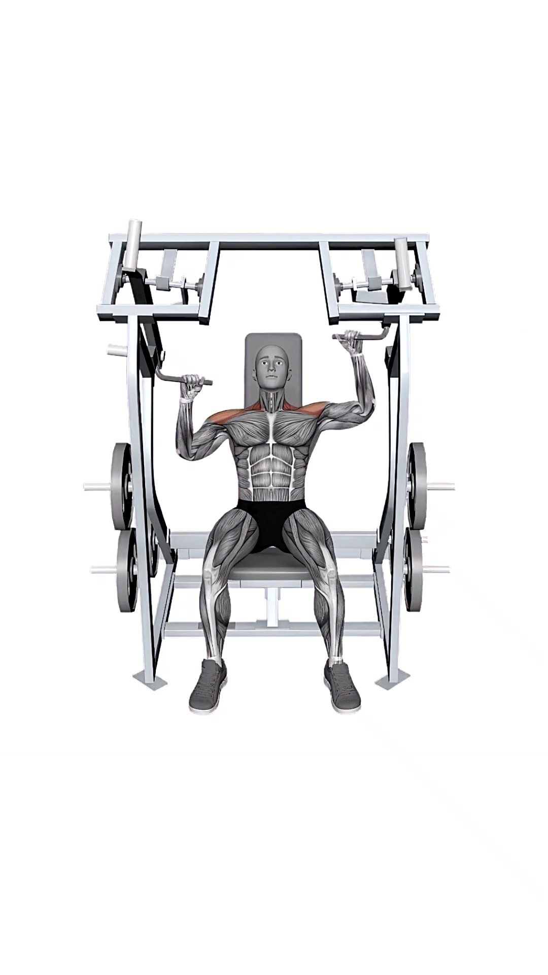 Iso Lateral Shoulder Press Single Arm