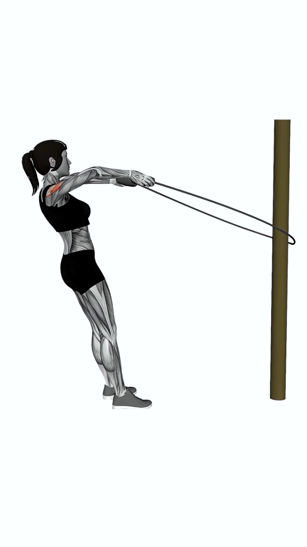 Jump Rope Face Pull White Screen