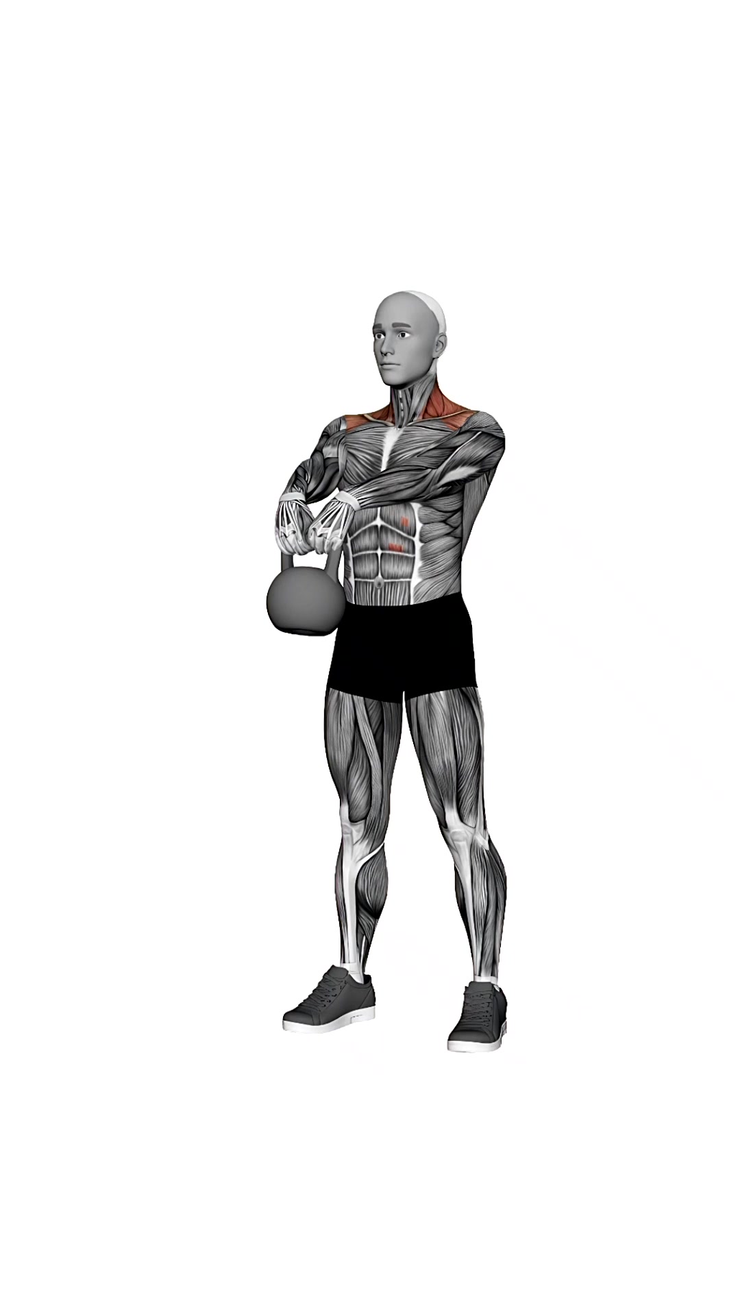 Kettlebell Front Raise