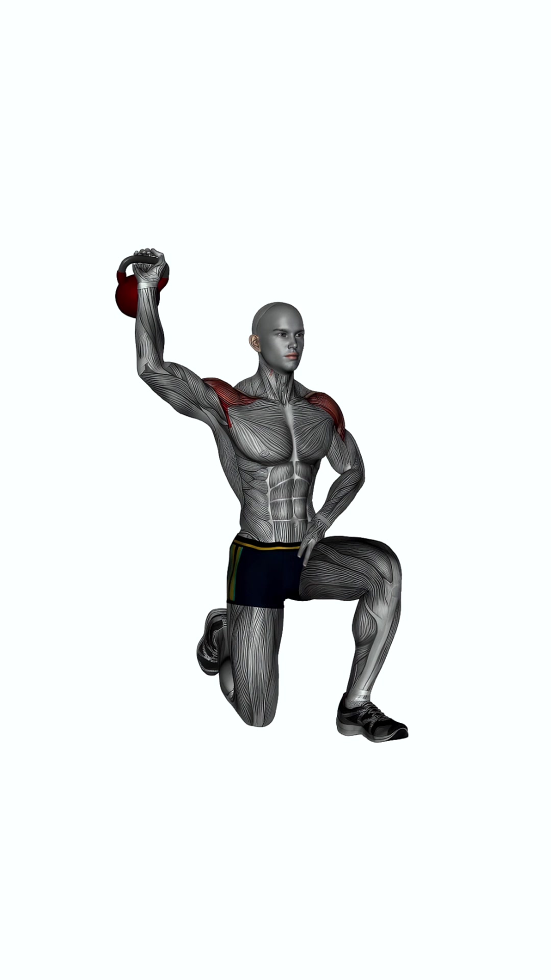 Kettlebell Half Kneeling Shoulder Press
