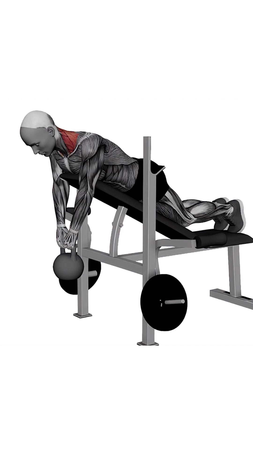 Kettlebell Incline Shrug
