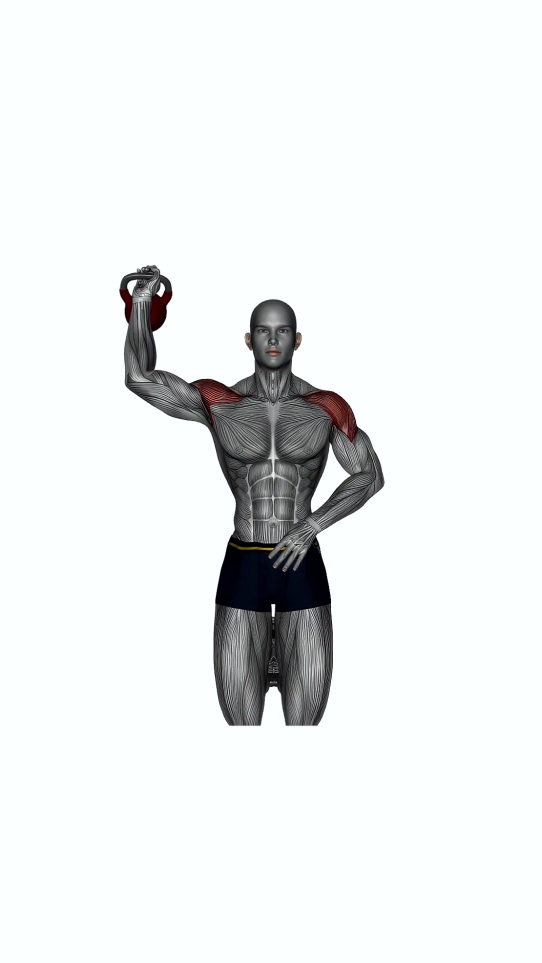 Kettlebell Kneeling One Arm Shoulder Press