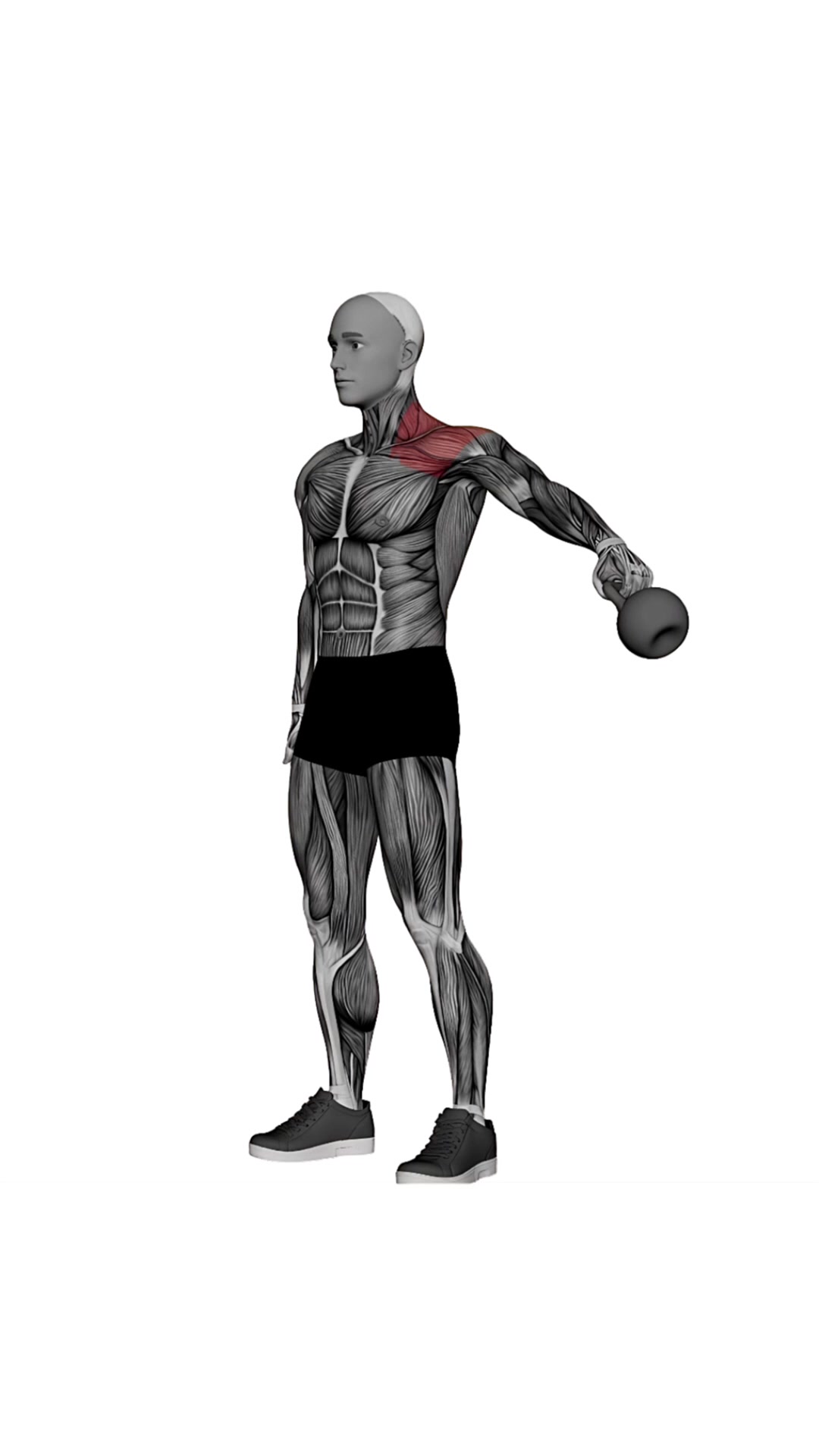 Kettlebell Long Lever Lateral Raise