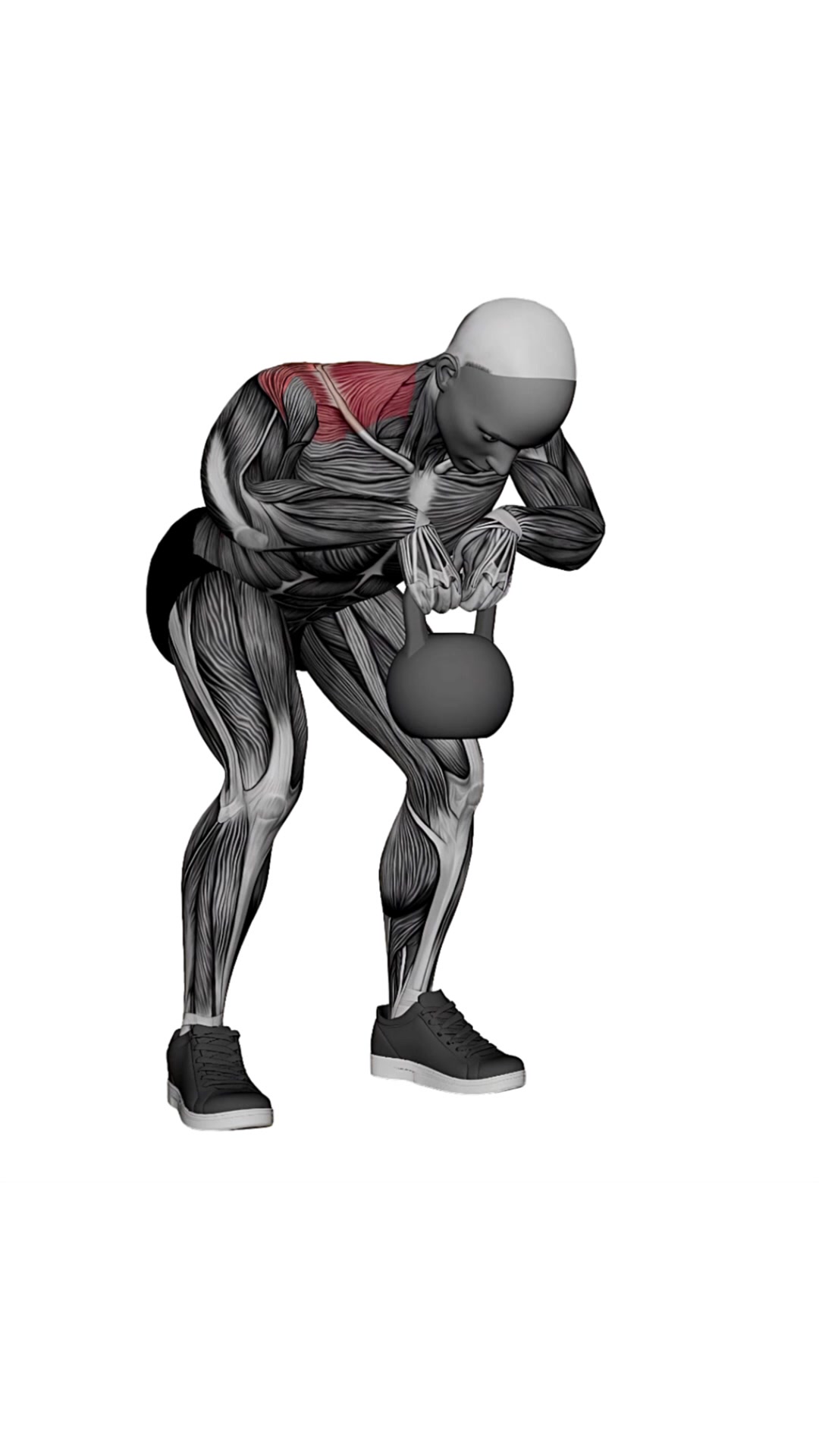 Kettlebell Rear Delt Row