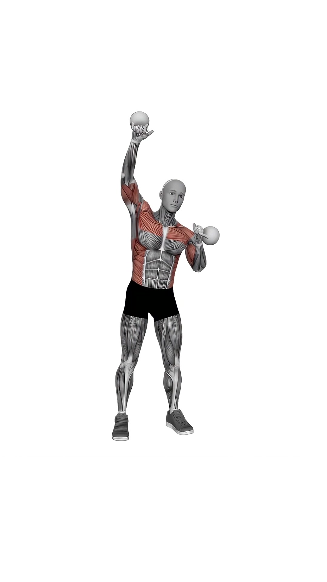 Kettlebell Seesaw Press