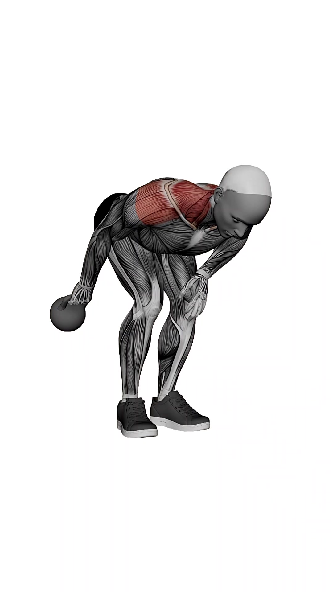 Kettlebell Shoulder Extension