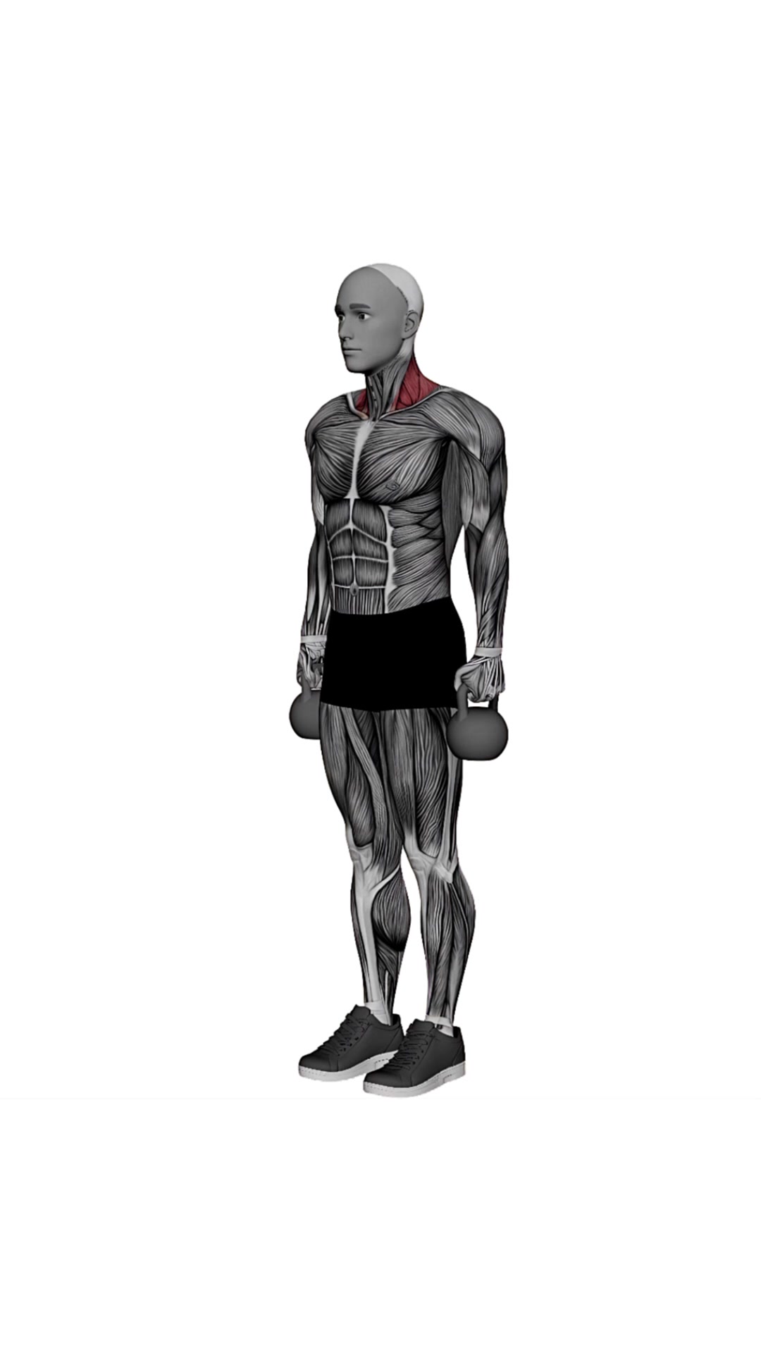 Kettlebell Shrug