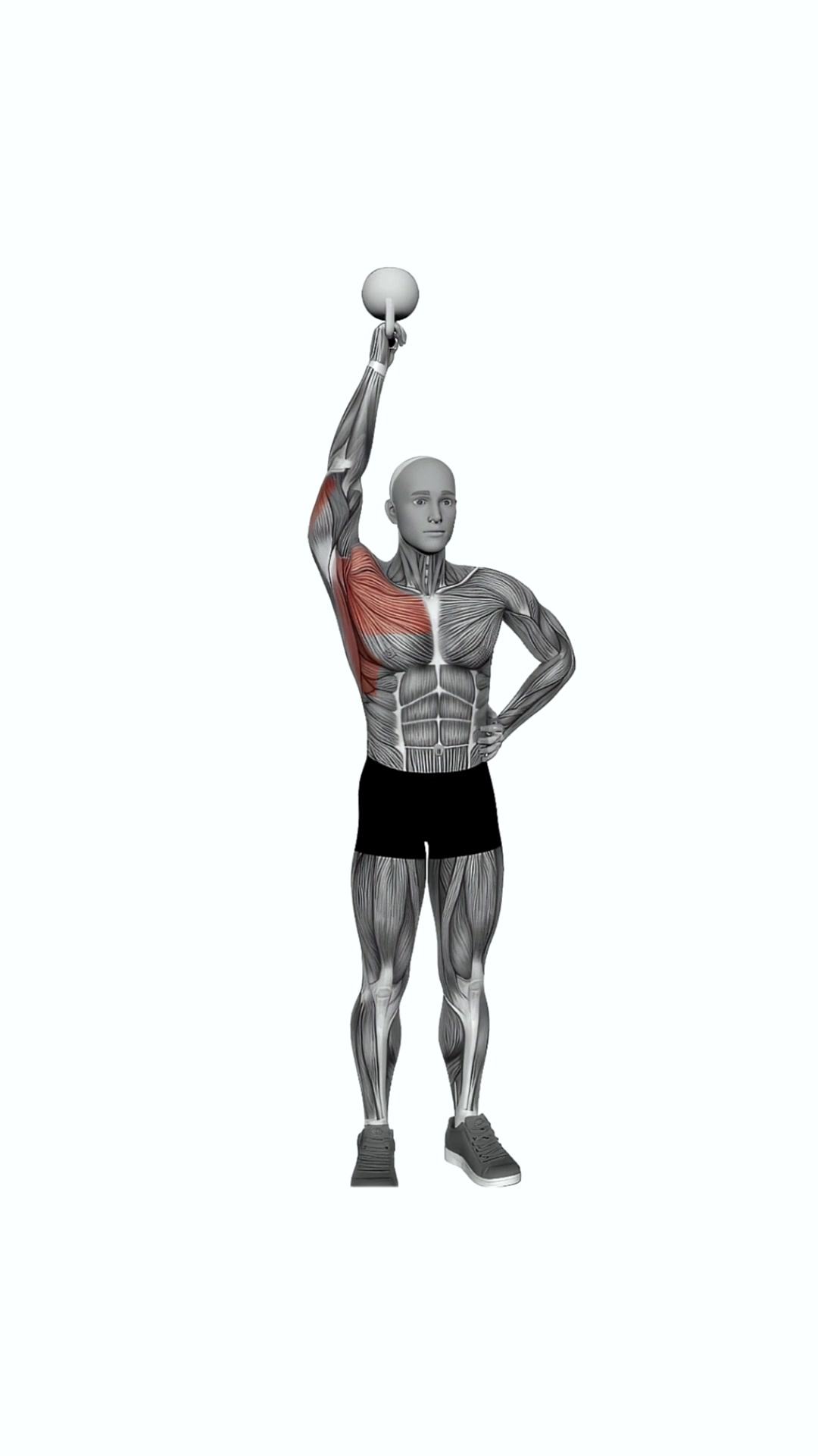 Kettlebell Standing Bottoms-up One Arm Shoulder Press