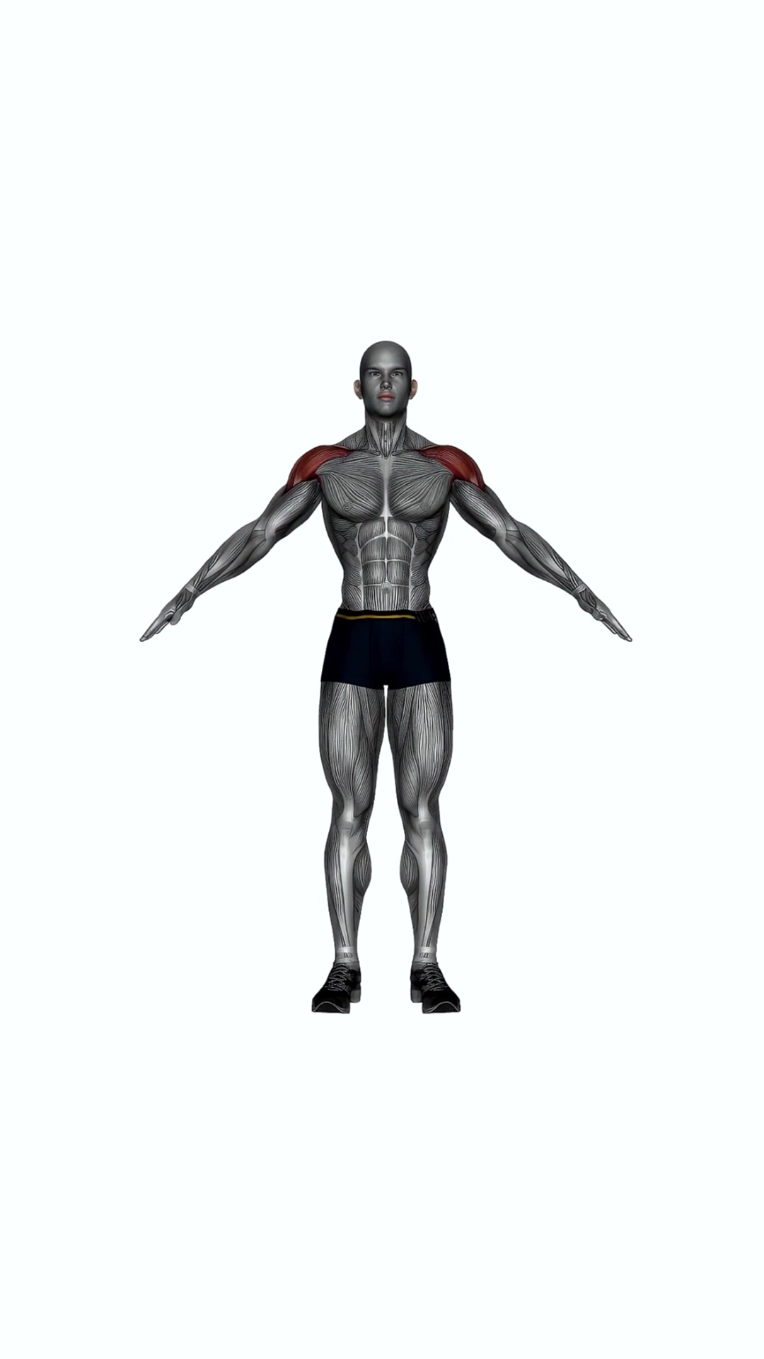 Lateral Raise Bodyweight