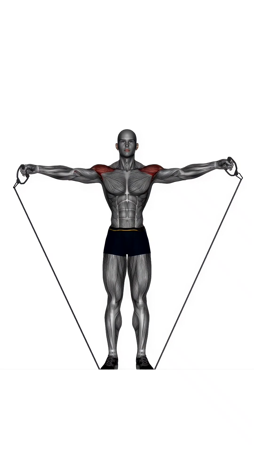 Lateral Raise To Shoulder Press Resistance Band Cable