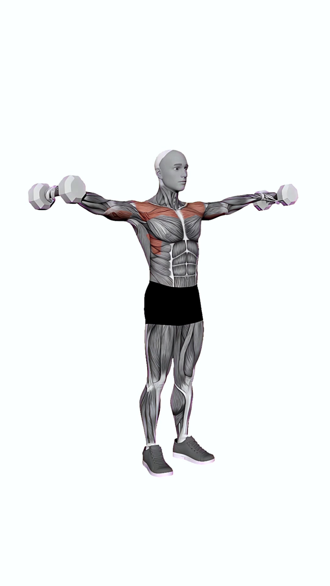 Lateral Raises Dumbbell
