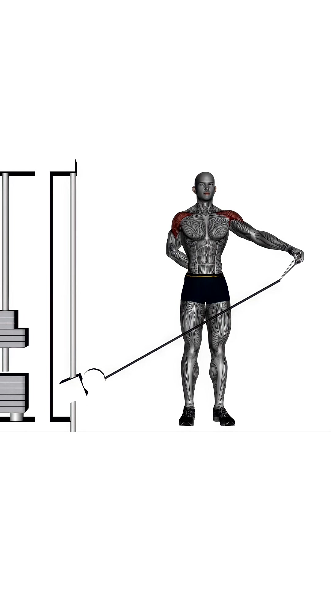 Lateral Raises On Cable Machine