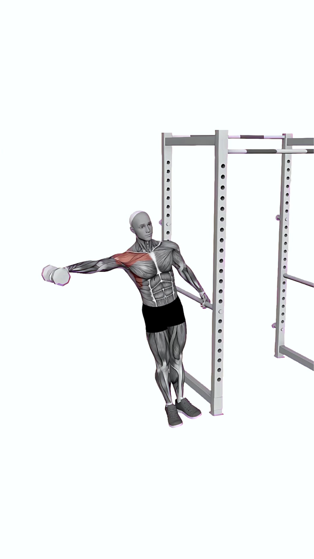 Leaning Dumbbell Lateral Raise