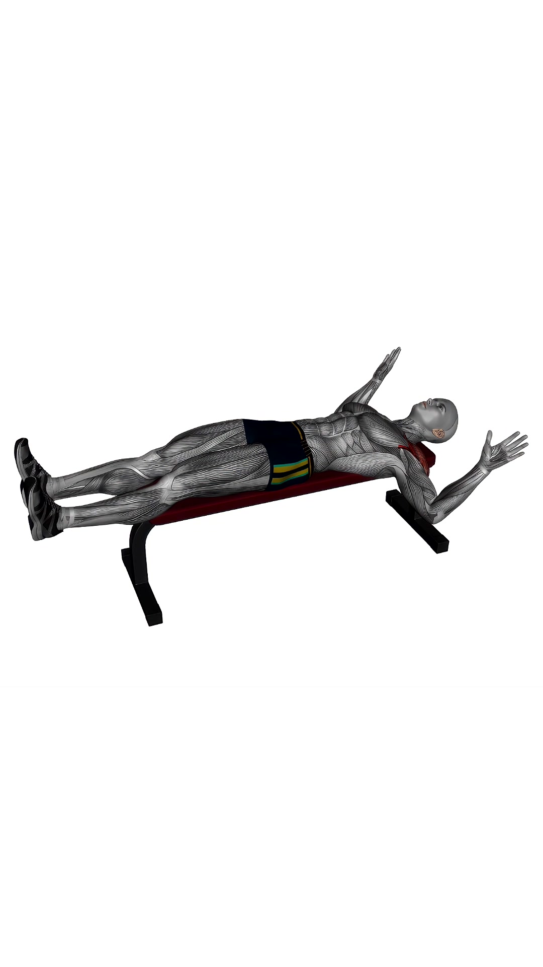 Lying Bench External Shoulder Rotation